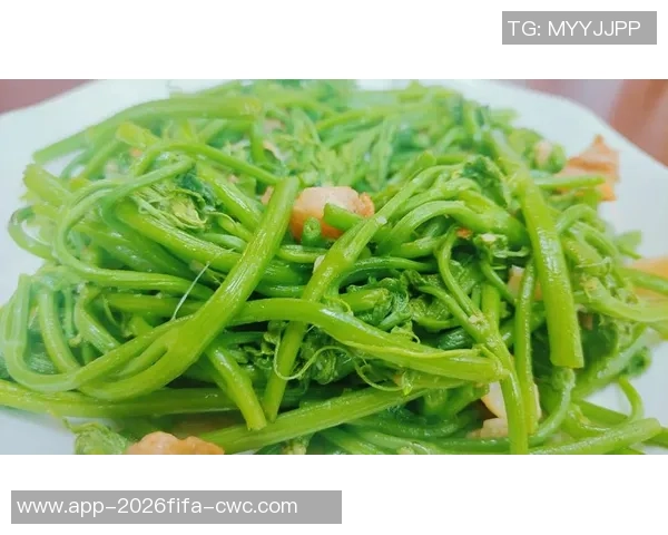 深圳大望足球场周边美食推荐与休闲活动攻略尽享足球盛宴的完美体验